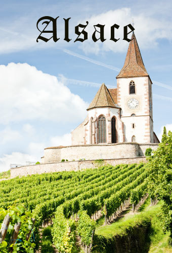 Vignoble Alsace