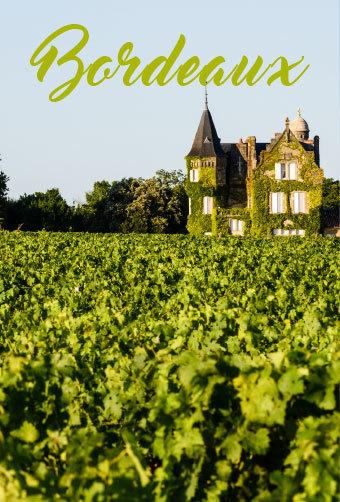 Vignoble Bordeaux