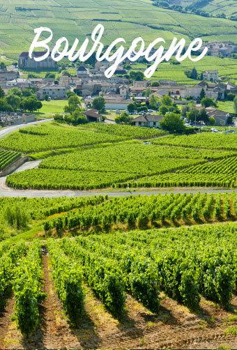 Vignoble Bourgogne