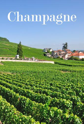 Vignoble Champagne