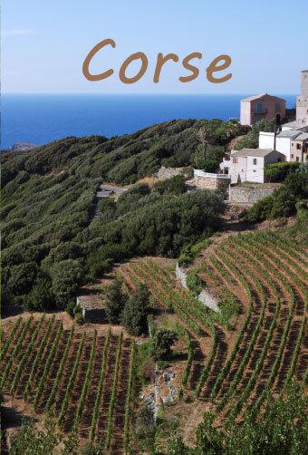 Vignoble Corse