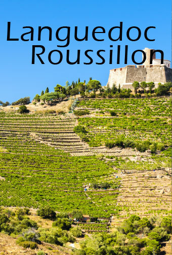 Vignoble Languedoc Roussillon