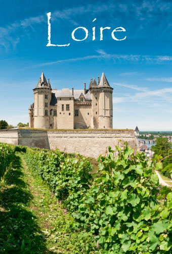 Vignoble Loire