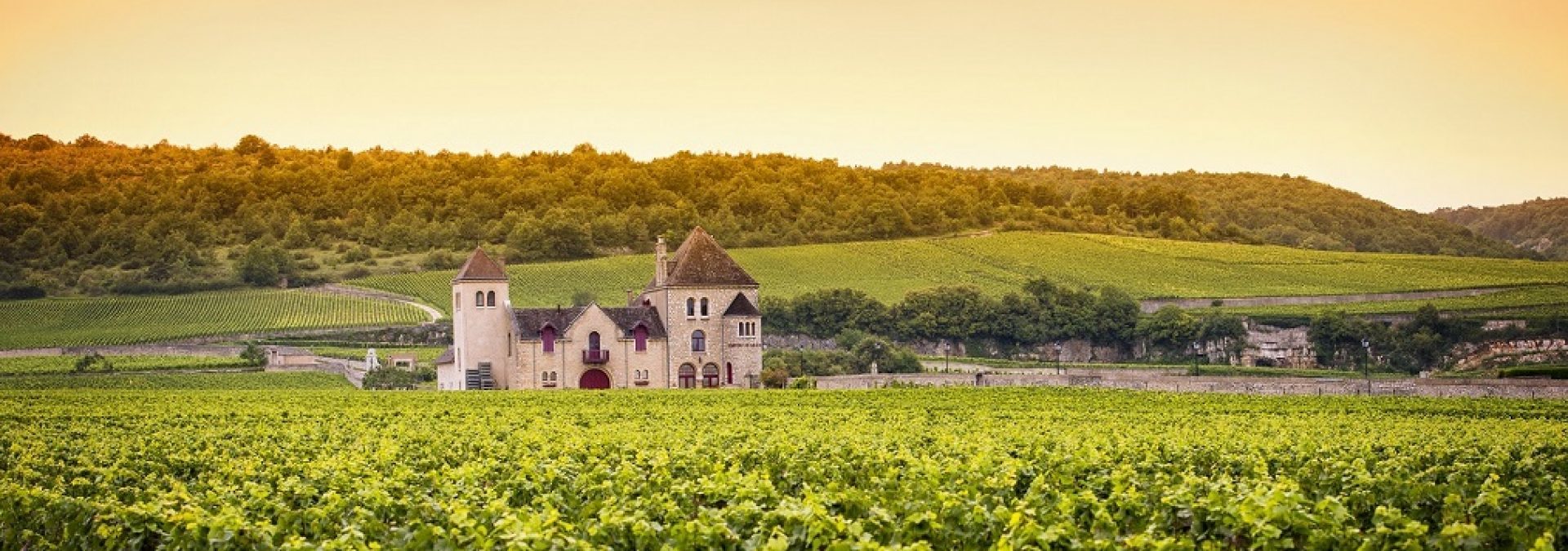 Château Léognan