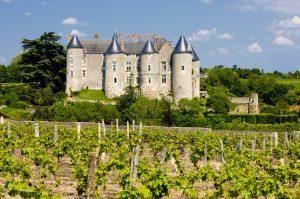 vignoble-du-val-de-loire