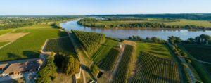 Balade-dans-les-vignes