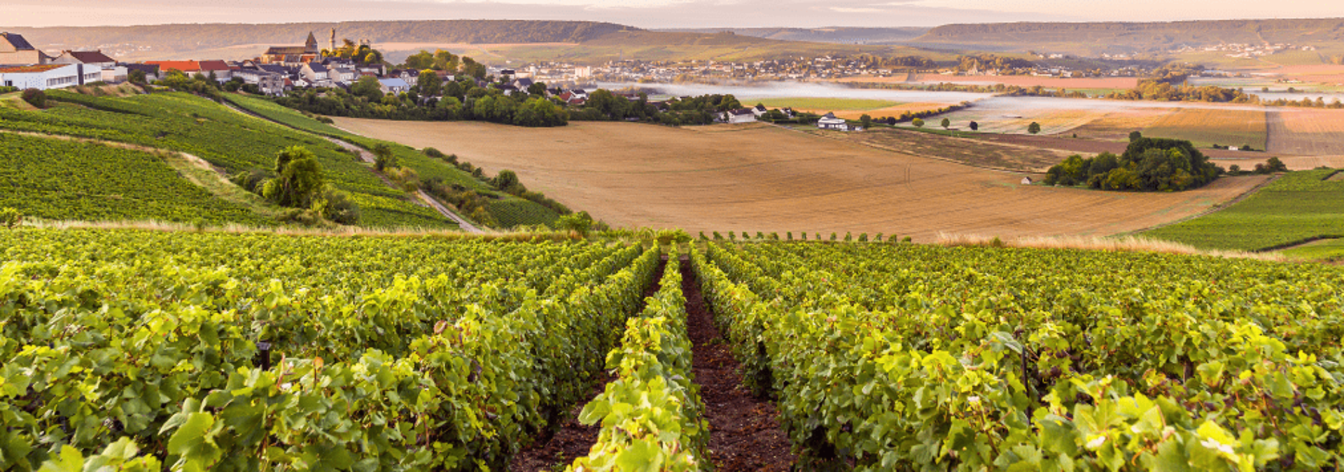 Champagne Georges Laval