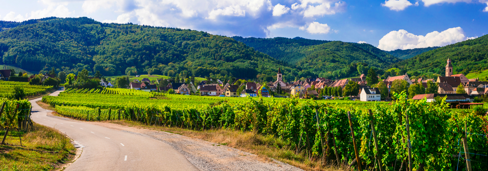 Domaine Rieflé-Landmann