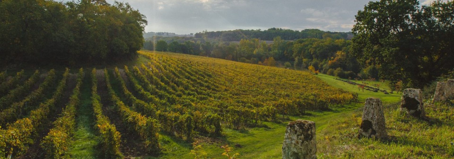 Domaine d’Arton