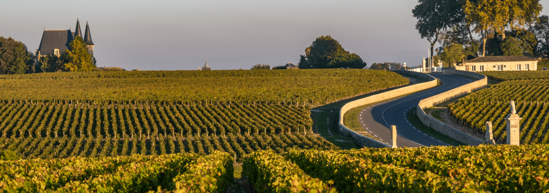 Château Larrivet Haut-Brion