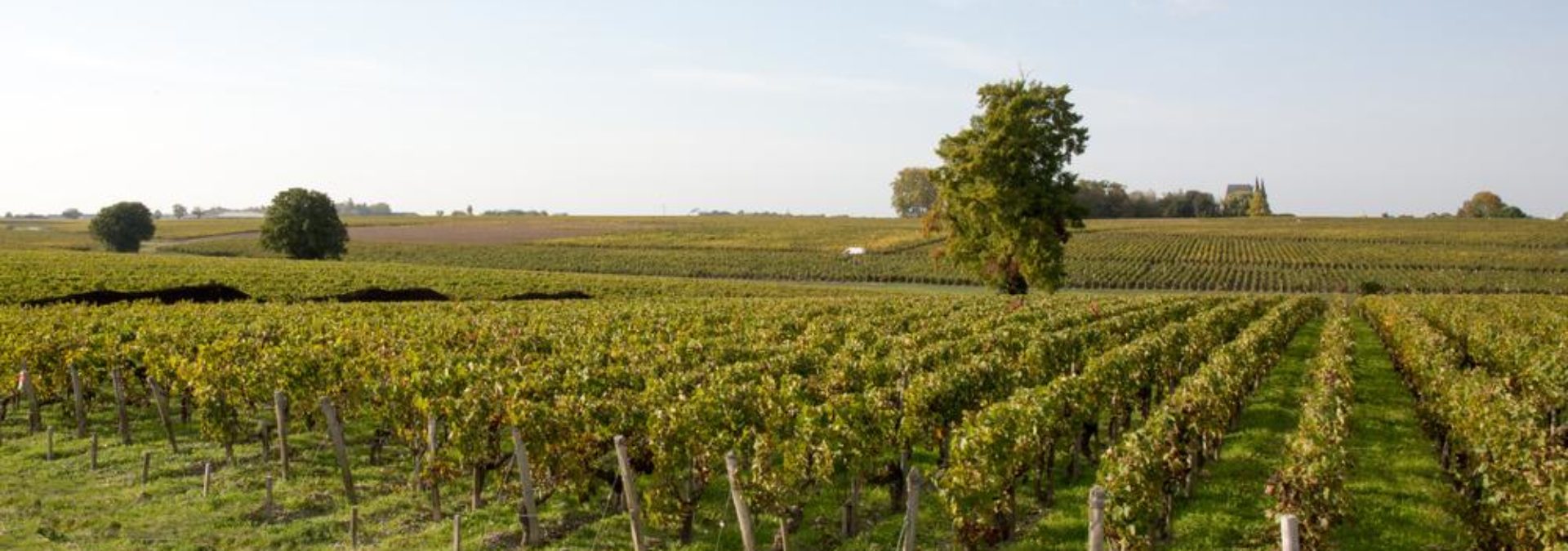 Domaine de la Grange Hardy