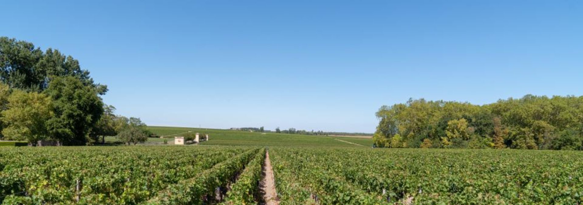 Château Poitevin