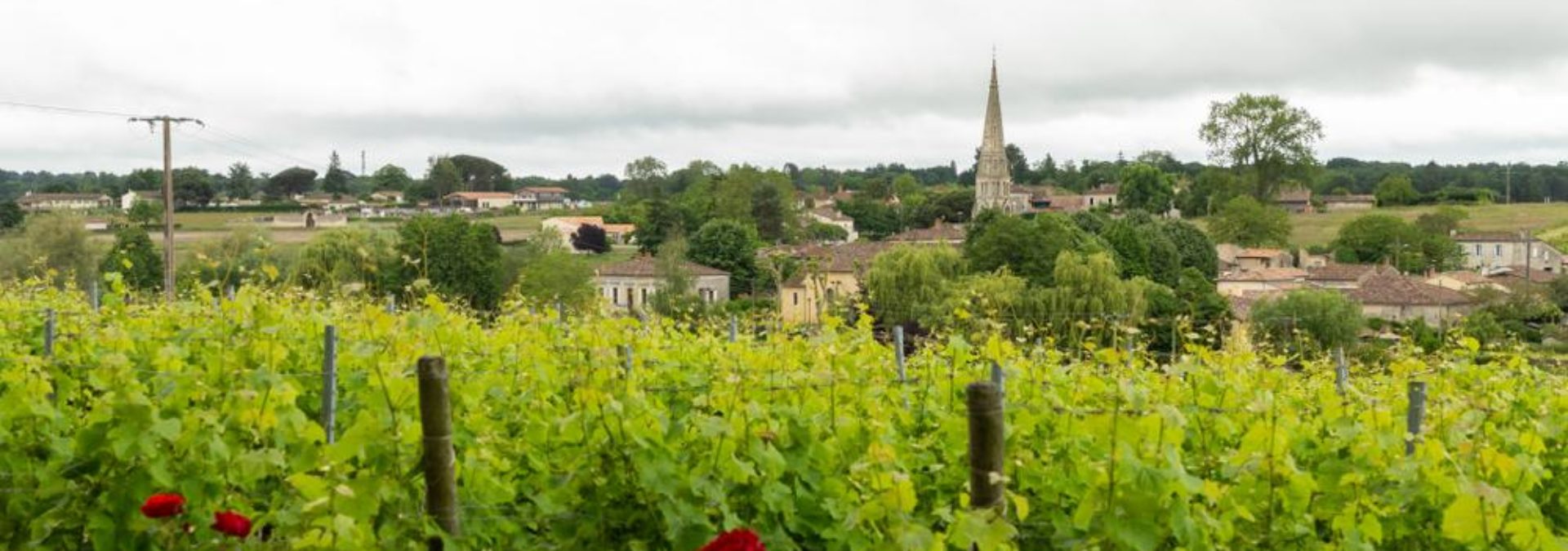 Château d’Arche Grand Cru Classé de Sauternes