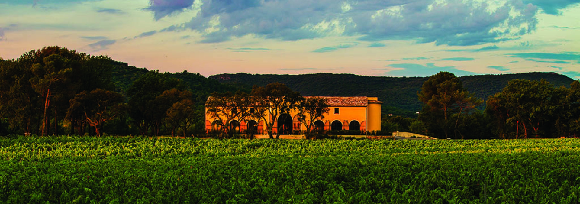 Château Saint-Maur Cru Classé