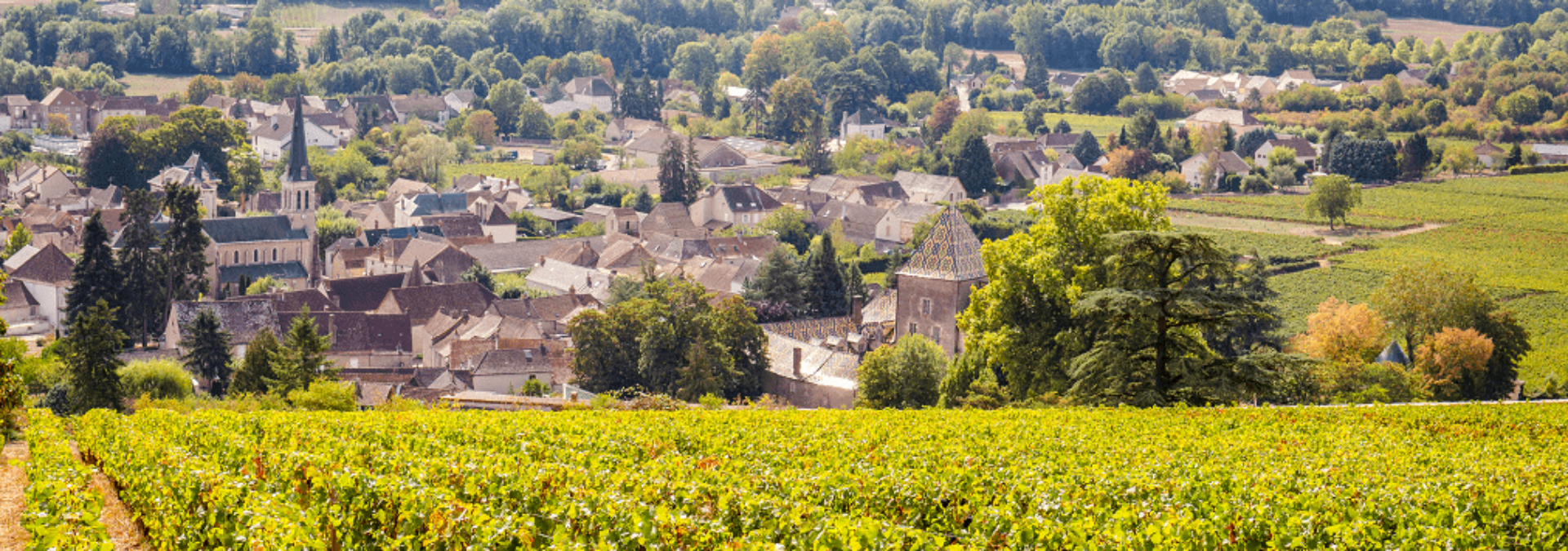 Château de Santenay