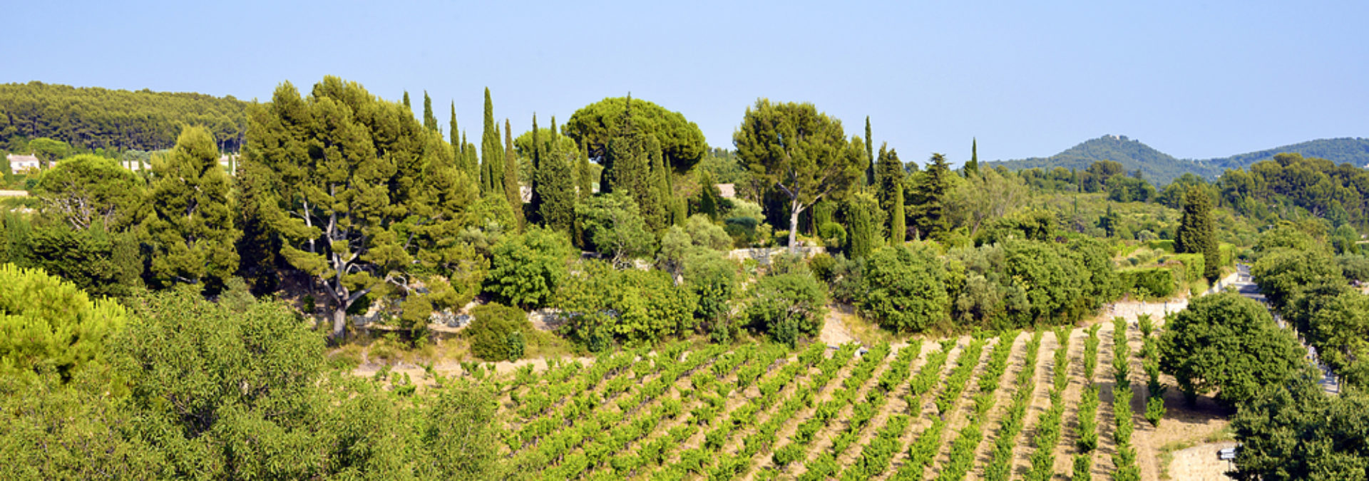 Domaine de la Bégude