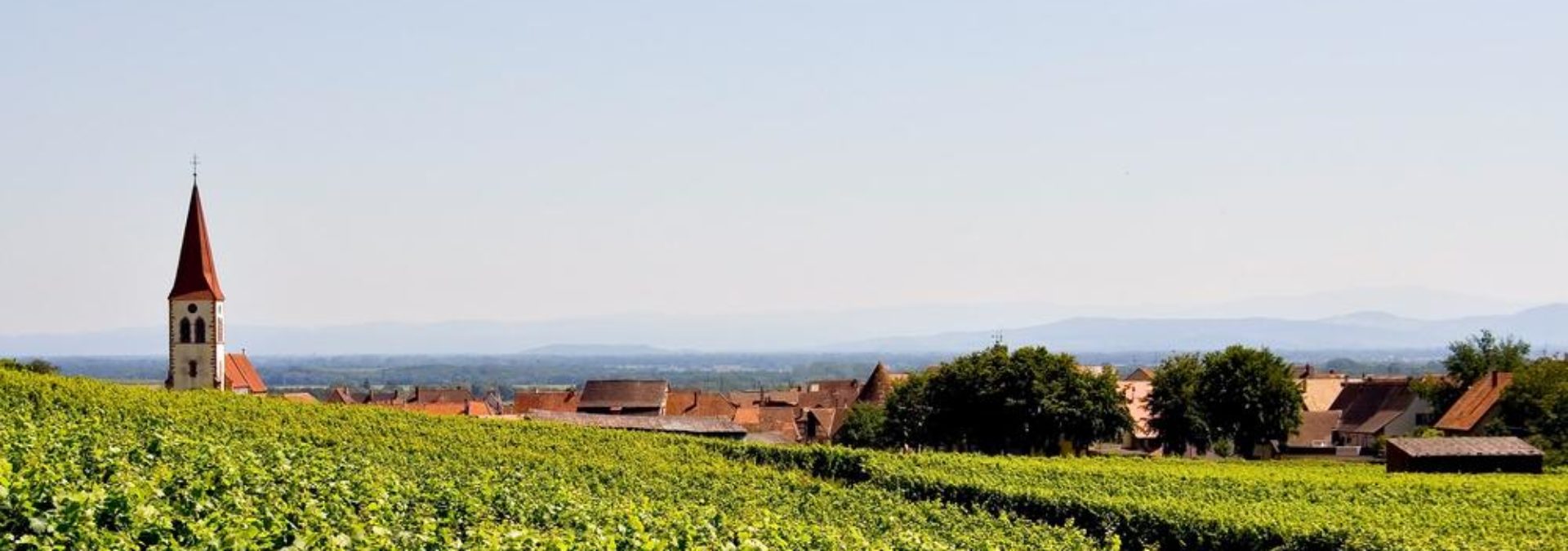 Domaine Marcel Freyburger