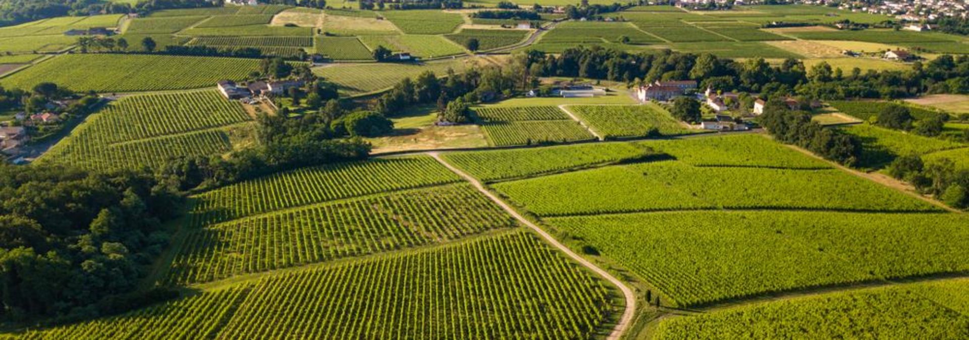 Château Réaut