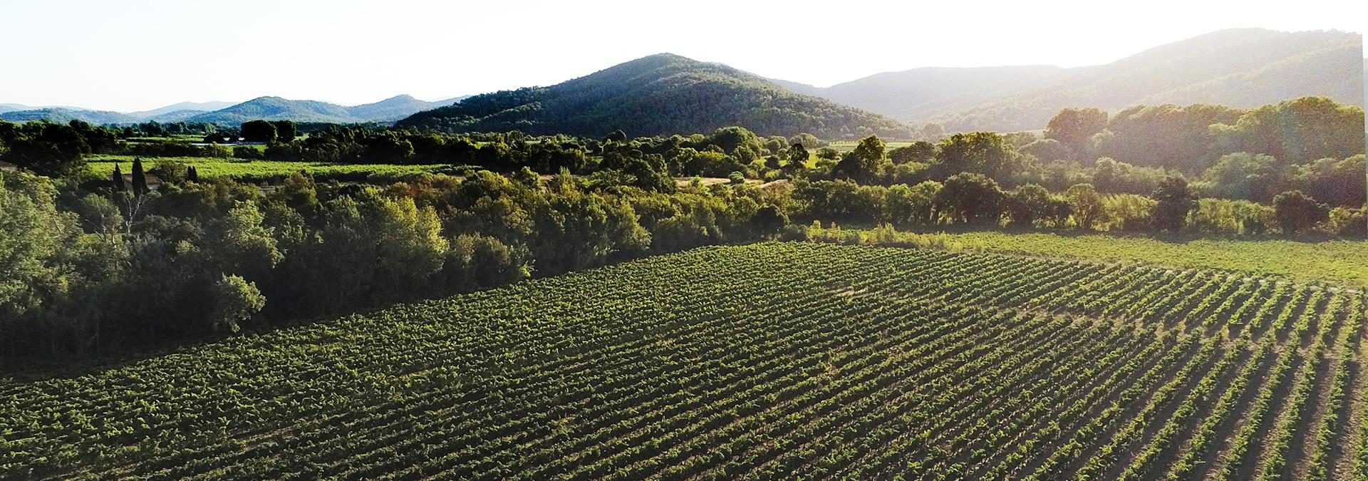 Domaine la Marseillaise