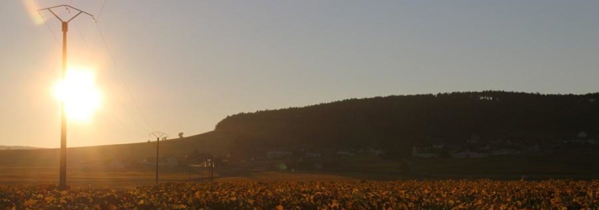 DOMAINE LAURENT BOUSSEY