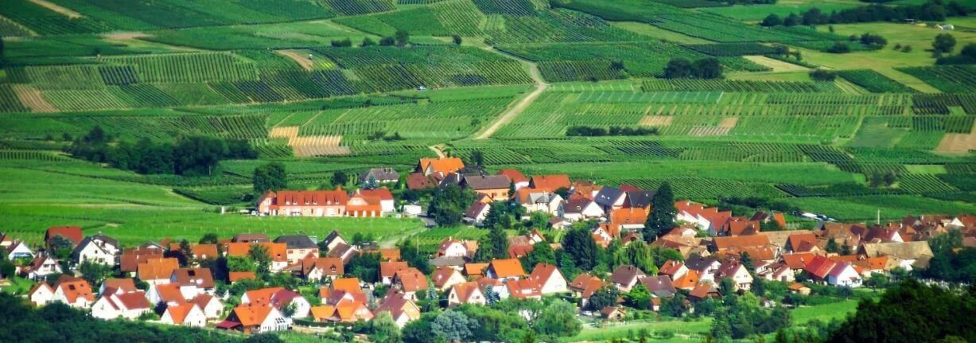 Domaine Fritz-Schmitt