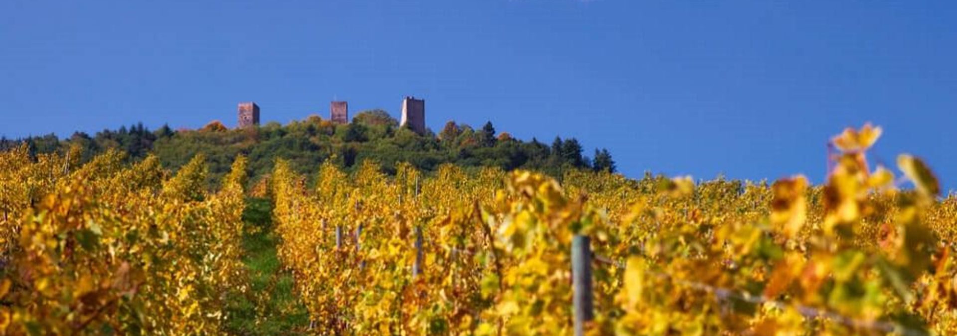 Domaine Emile Beyer