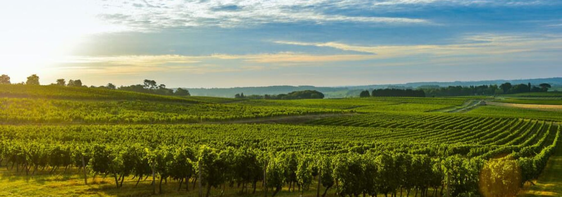 Château Pré La Lande