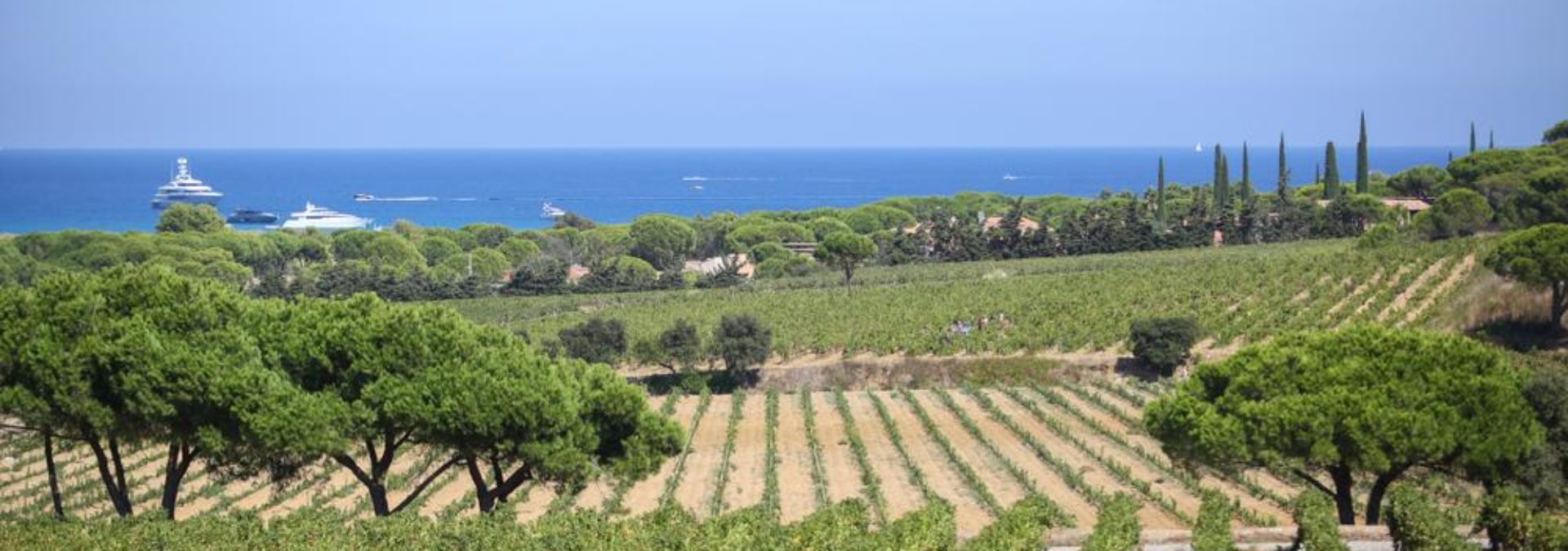 Château de Pampelonne