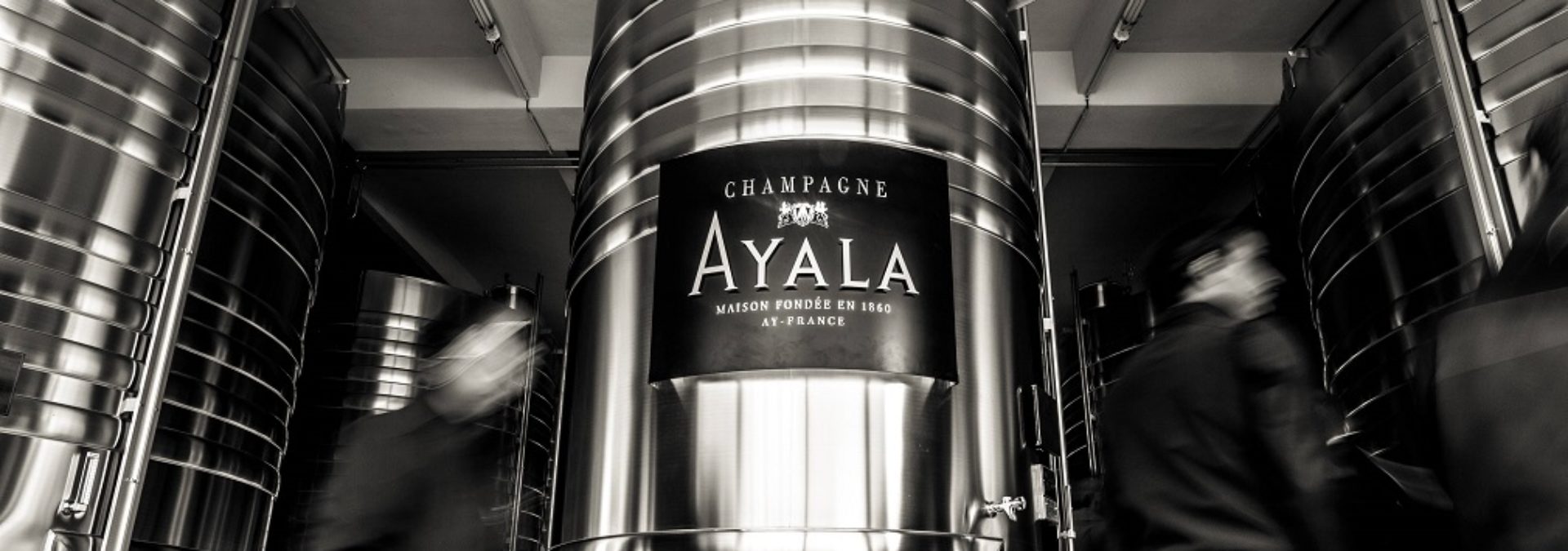 Champagne AYALA