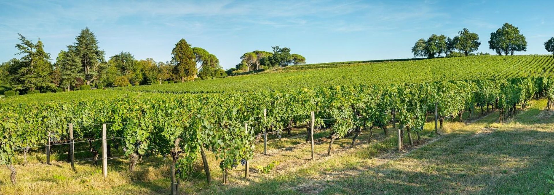 Château Haut-Goujon