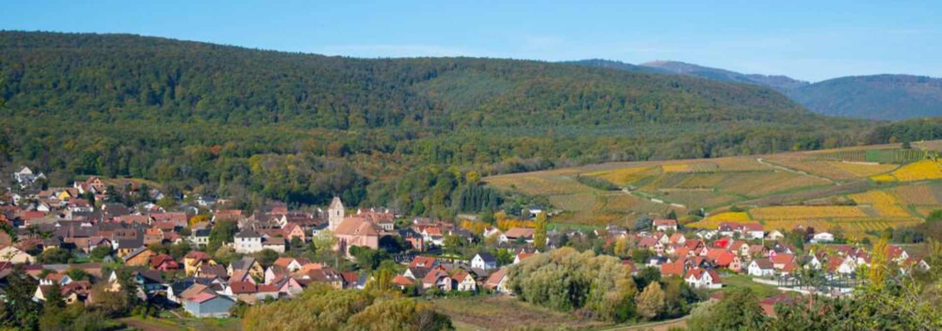 Domaine François Schmitt