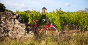 les-vignes-à-vélo