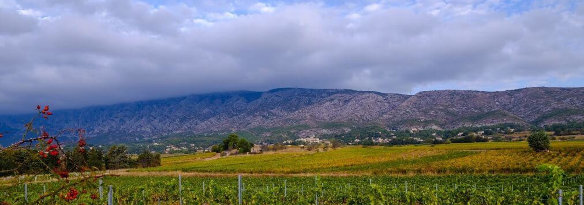 Domaine Richeaume