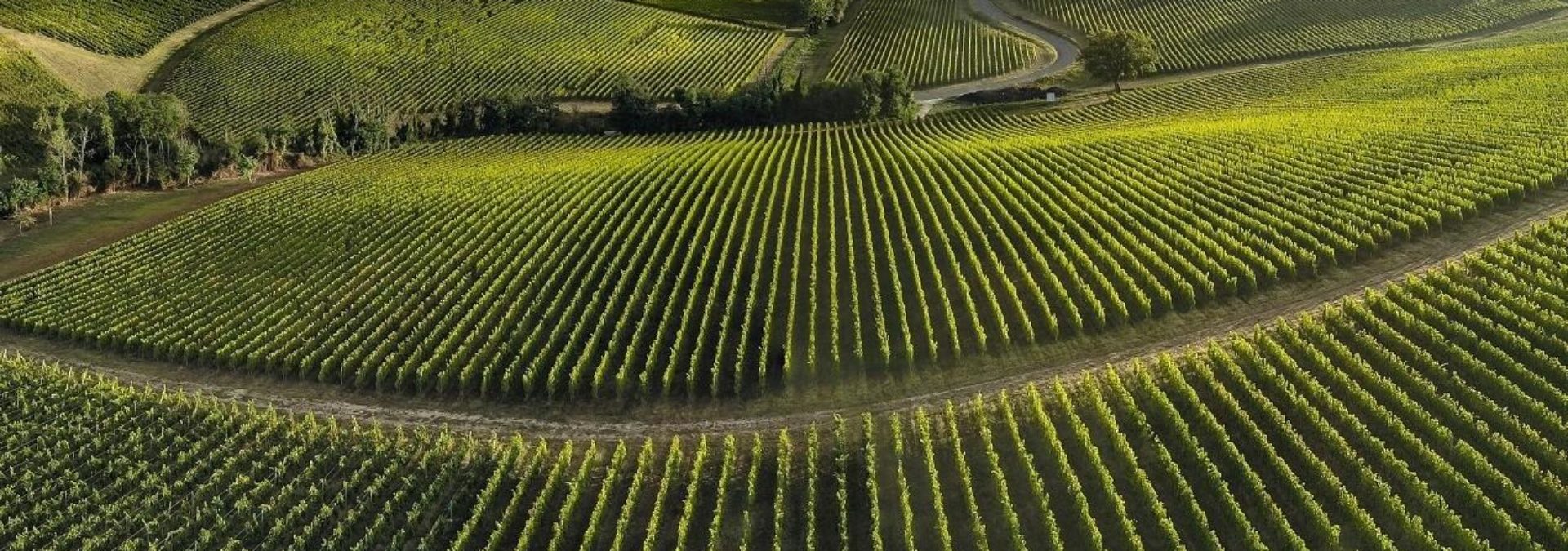 Château Le grand Verdus