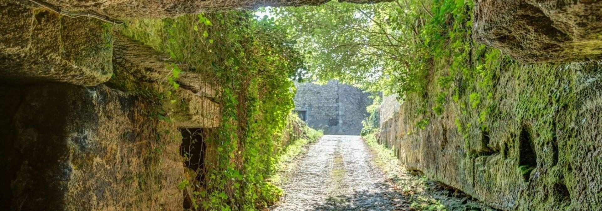 Château de Bonhoste