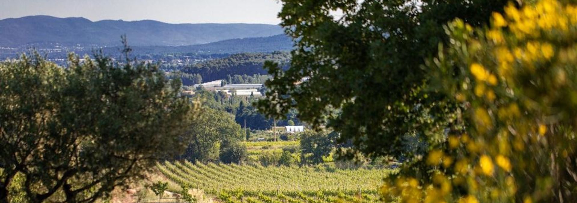 DOMAINE DE LA NAVICELLE