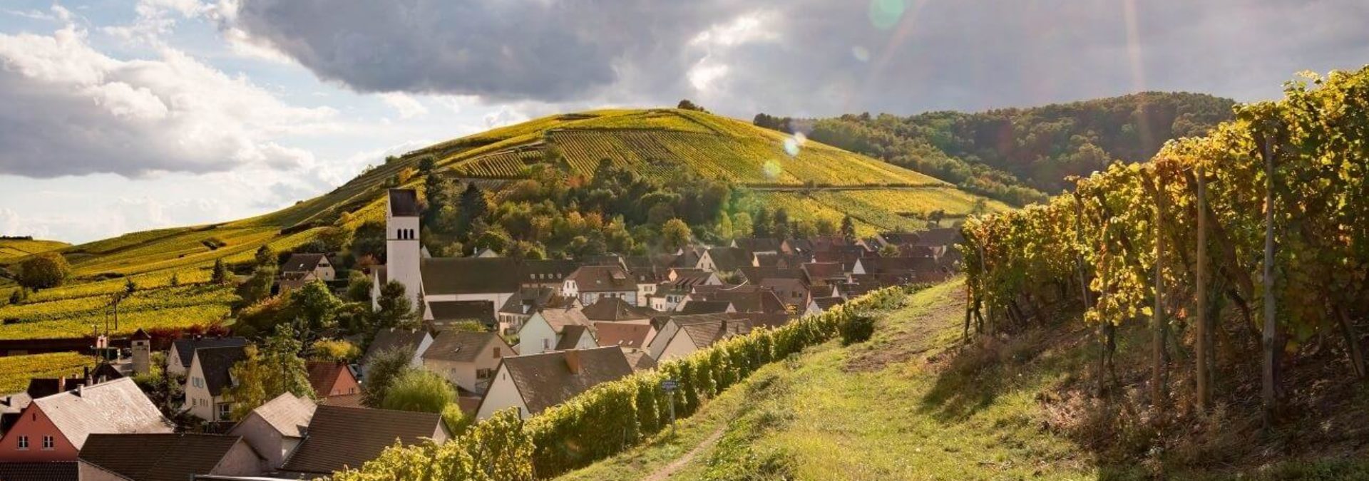 Domaine Jean-Marc BERNHARD