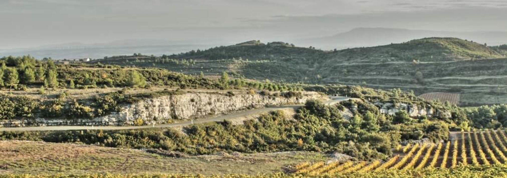 Château Massamier La Mignarde