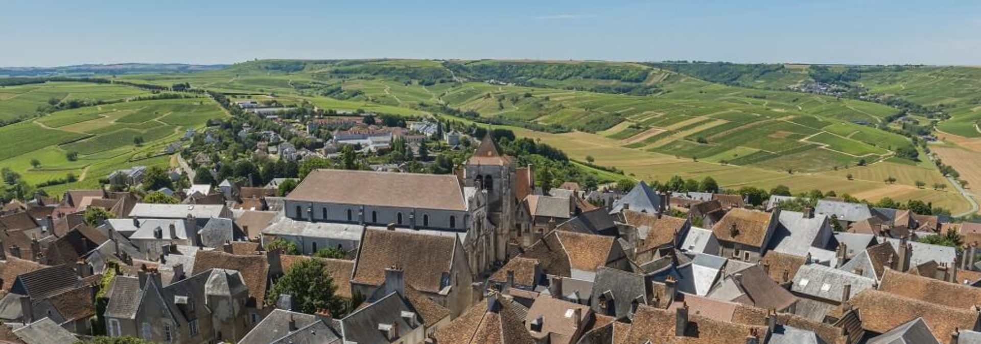 Domaine Roland Tissier et Fils