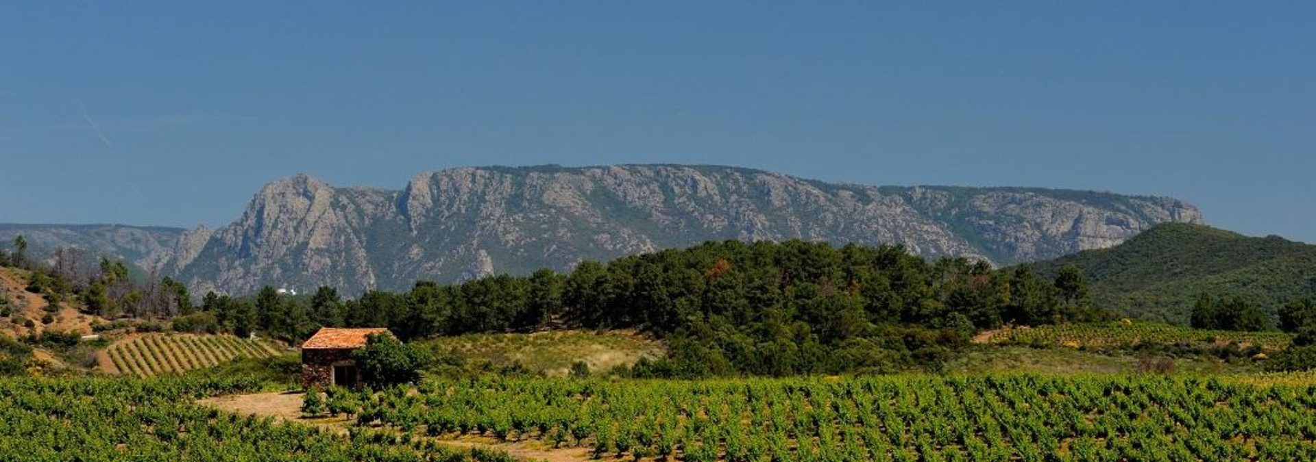 LES PÉPITES DU SUD