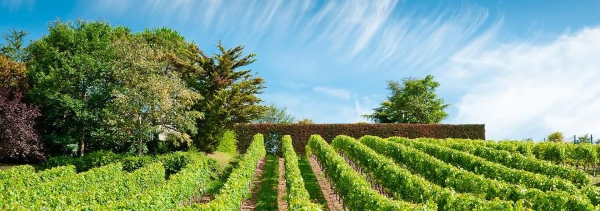 Domaine de la Noblaie