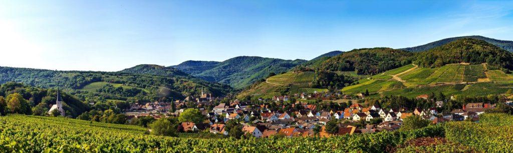 Vignes et vue panoramique sur Andlau