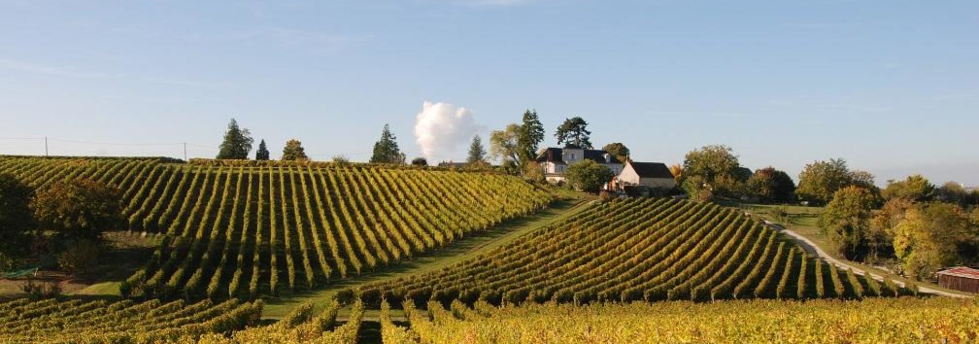 Domaine de la Noblaie