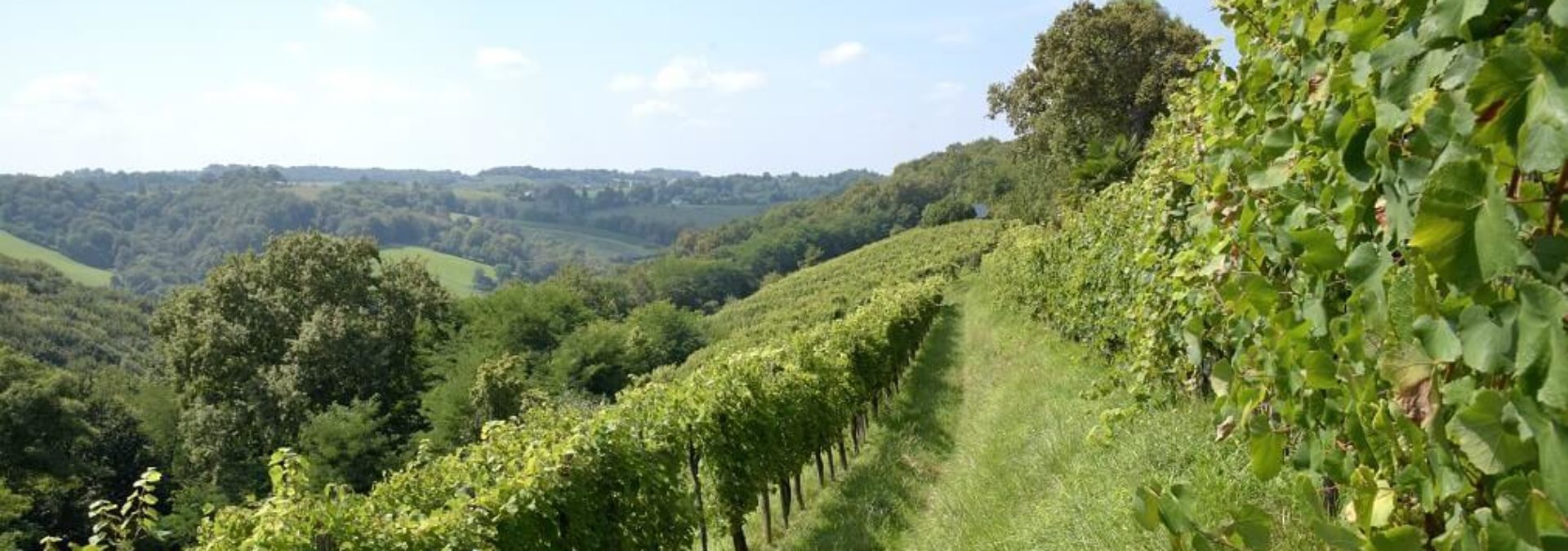 Domaine de Cabarrouy