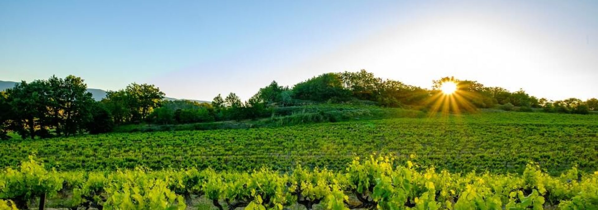 Château Val-Joanis