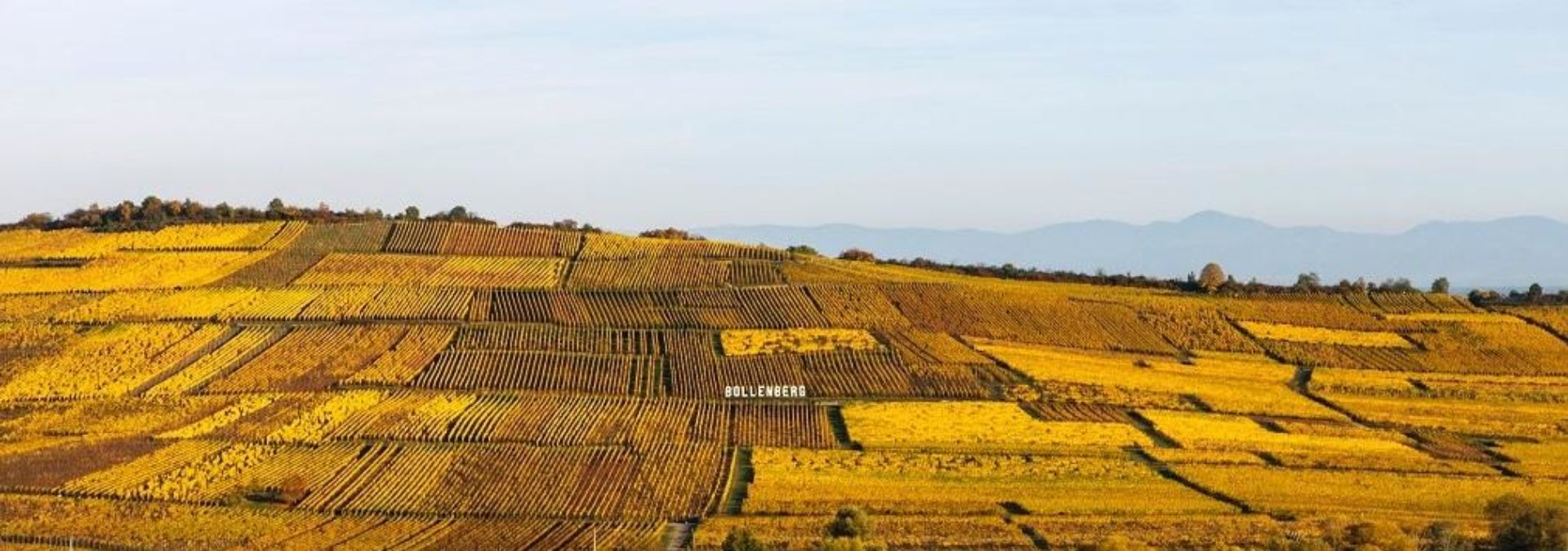 Domaine Bernard Haegelin