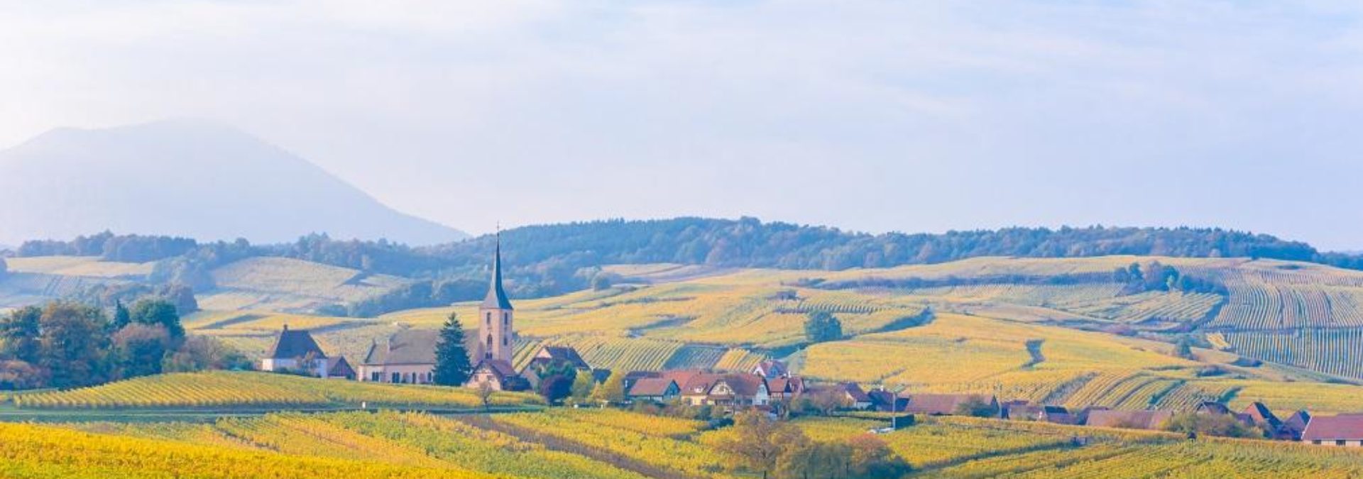 Domaine Haegi