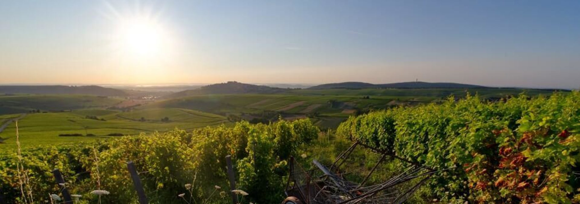 Domaine Catherine et Michel Langlois