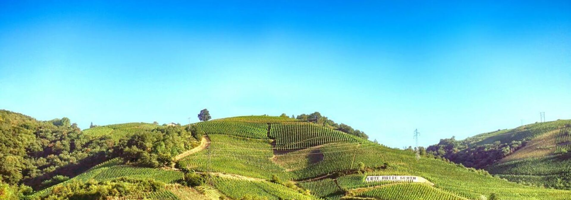 Domaine Jean-Michel Gerin