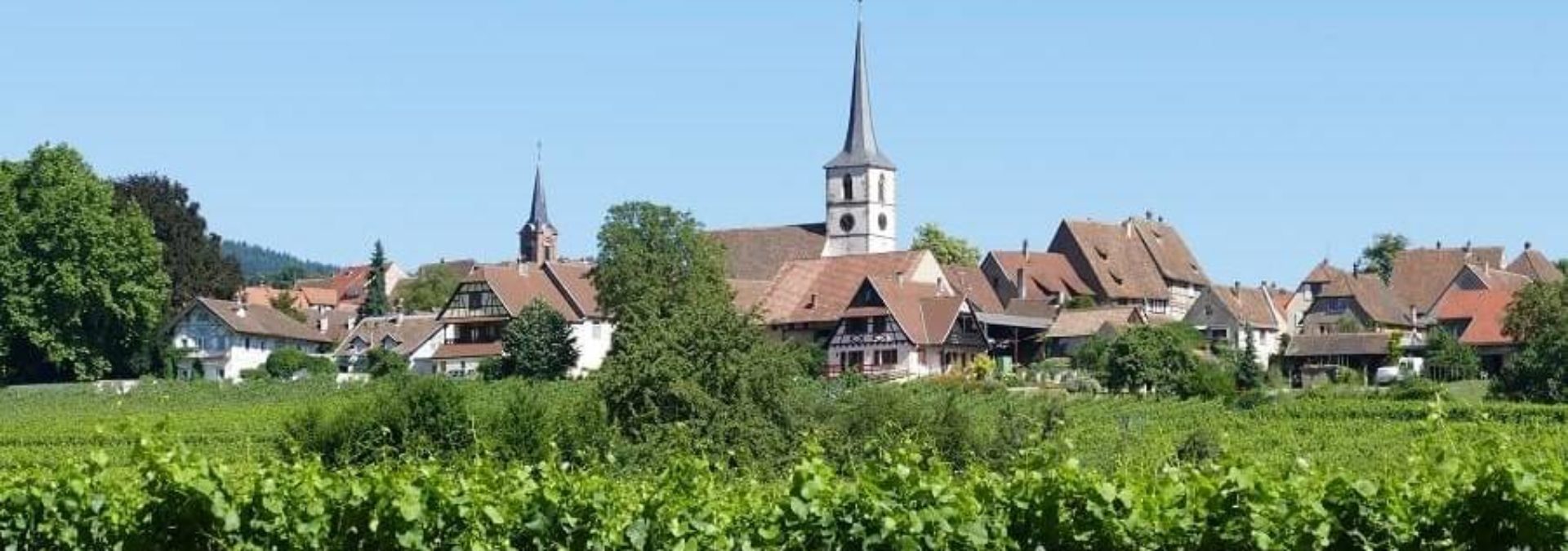 Domaine Albert Seltz